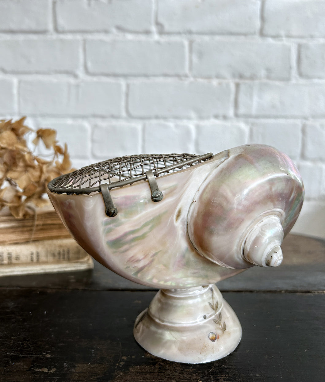 Antique polished mother of pearl sea shell posy vase on pedestal