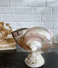 Load image into Gallery viewer, Antique polished mother of pearl sea shell posy vase on pedestal