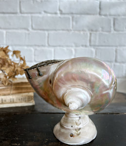 Antique polished mother of pearl sea shell posy vase on pedestal