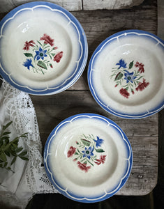 French Vintage Digoin Elon Sarreguemines bowls floral pattern