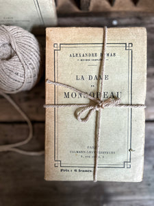 Bundle of 3 French antique literary paper back books Alexandre Dumas