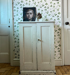 An early Victorian painted pine cupboard with double doors and 3 shelves
