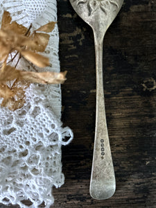 Late 19th Century Victorian electro silver plate berry serving spoon