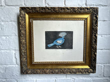Load image into Gallery viewer, Original Limited edition signed bird print by French Print maker &amp; Illustrator Suzanne Balkanyi "Oiseau Bleu Goura"