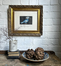 Load image into Gallery viewer, Original Limited edition signed bird print by French Print maker &amp; Illustrator Suzanne Balkanyi "Oiseau Bleu Goura"