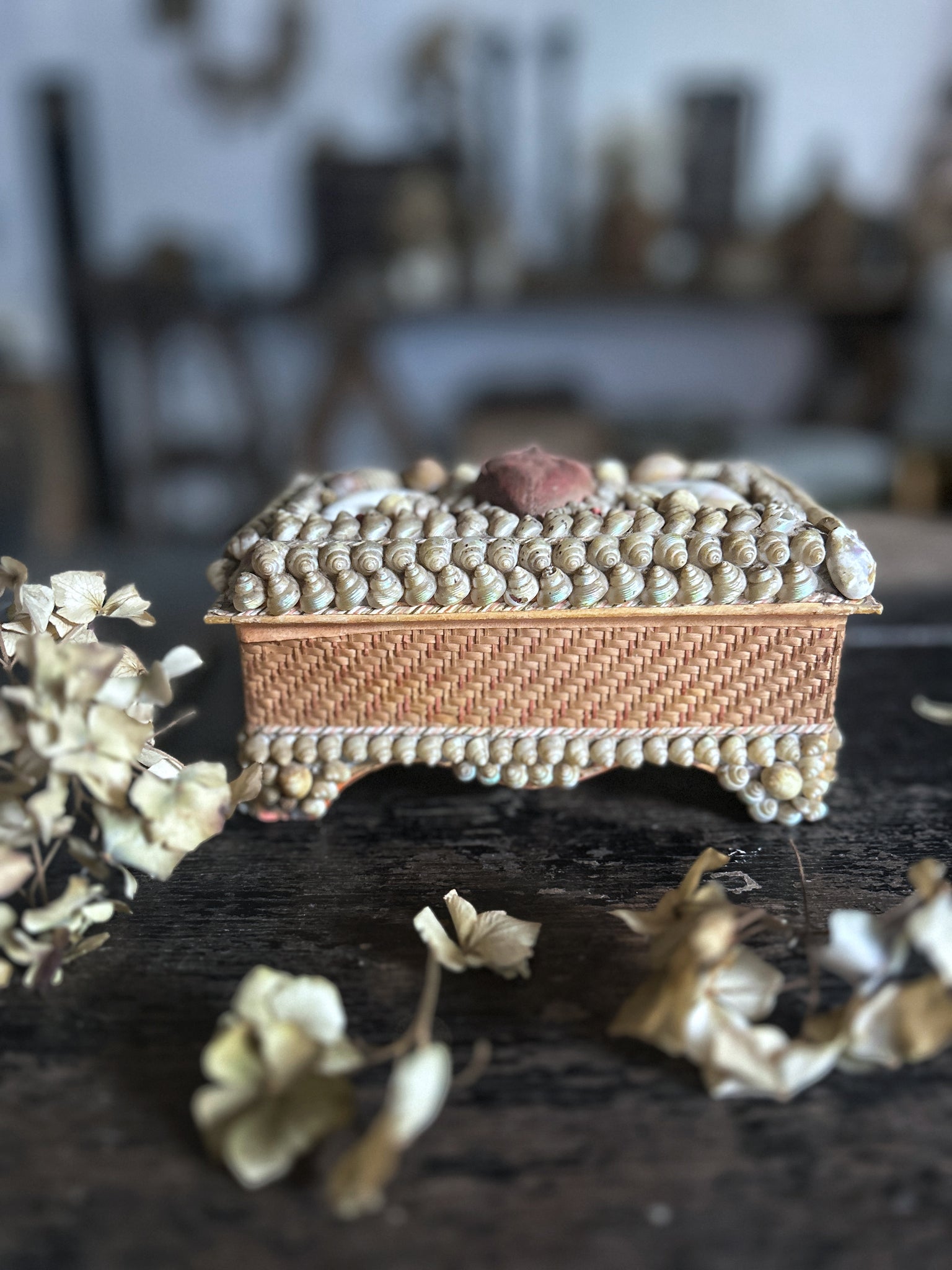 19th Century Victorian antique sailors souvenir shell Jewellery box ...