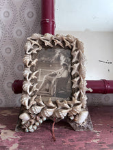 Load image into Gallery viewer, Victorian antique shell covered decorative photo picture frame