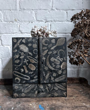 Load image into Gallery viewer, Victorian mystical tarot card wooden decoupage chest with doors and drawer