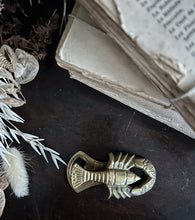 Load image into Gallery viewer, Vintage solid brass lobster crayfish bottle opener paper clip