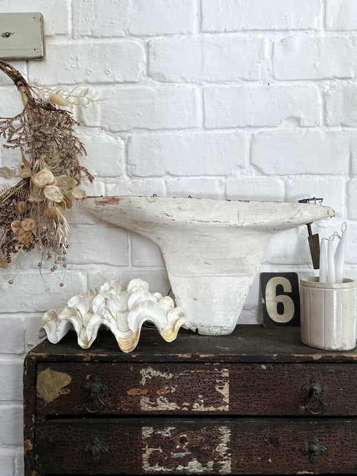 A large vintage clam sea shell