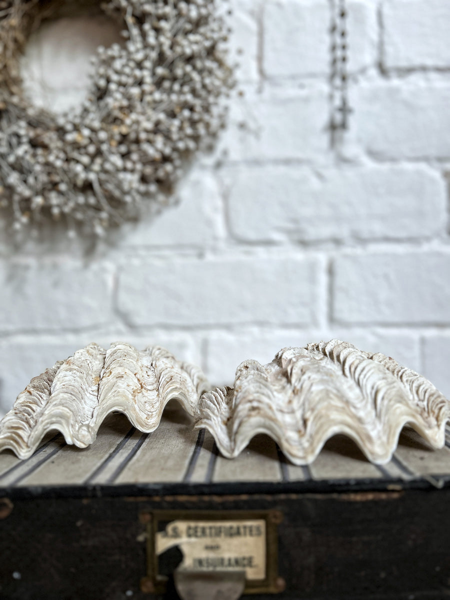 Vintage double complete rare clam shell – The Old Potato Store