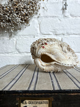 Load image into Gallery viewer, Vintage double complete rare clam shell