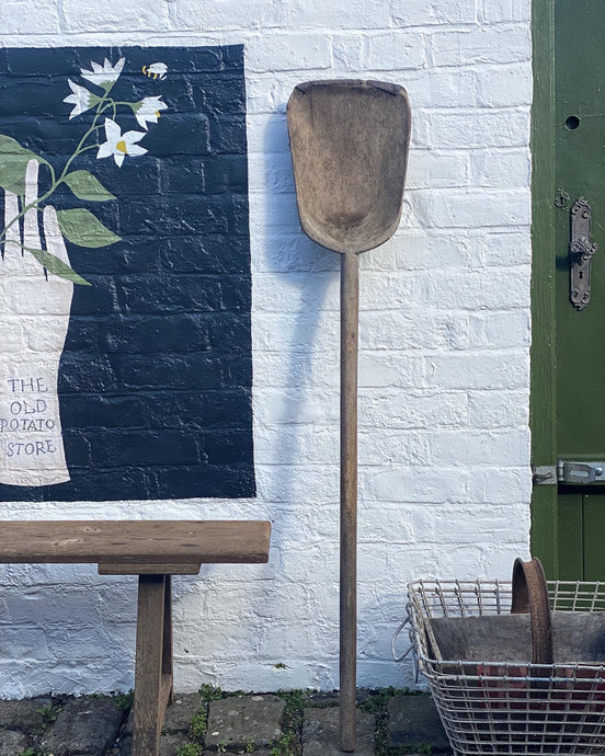 This large wooden grain shovel was sourced in Normandy, France ,region for calvados and would have used for shovelling apples in the orchards.