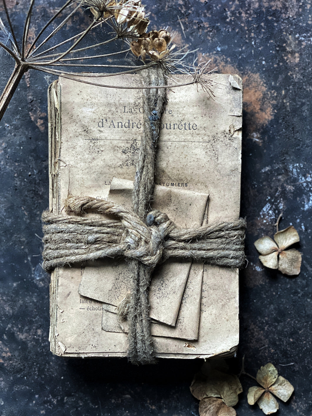 Antique 18th Century French Bundle of String Tied Books