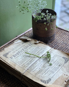 A bundle of string tied French Vintage Horticultural books