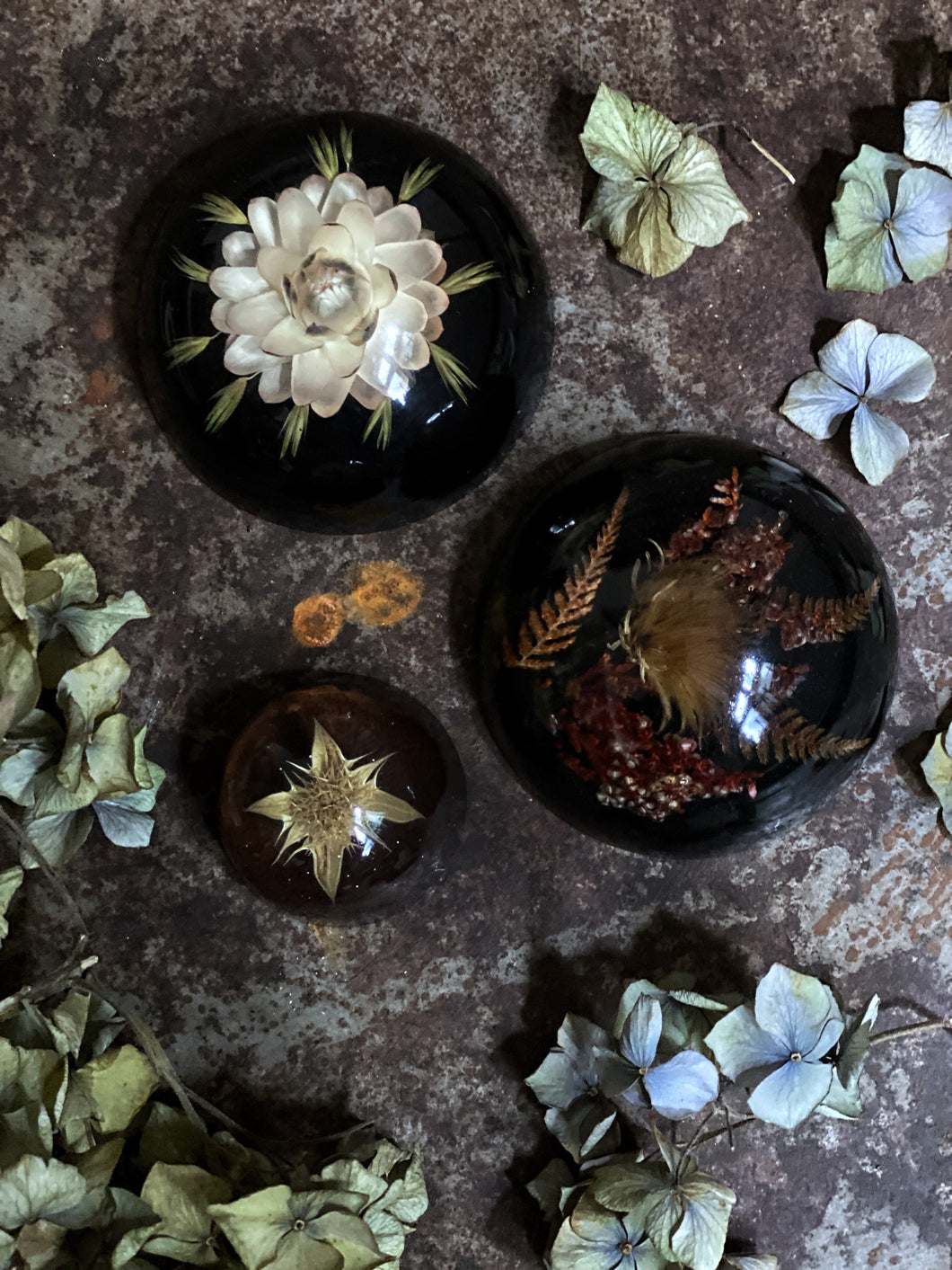 A Collection of Three vintage Lucite resin Paper weights with Dried Flowers