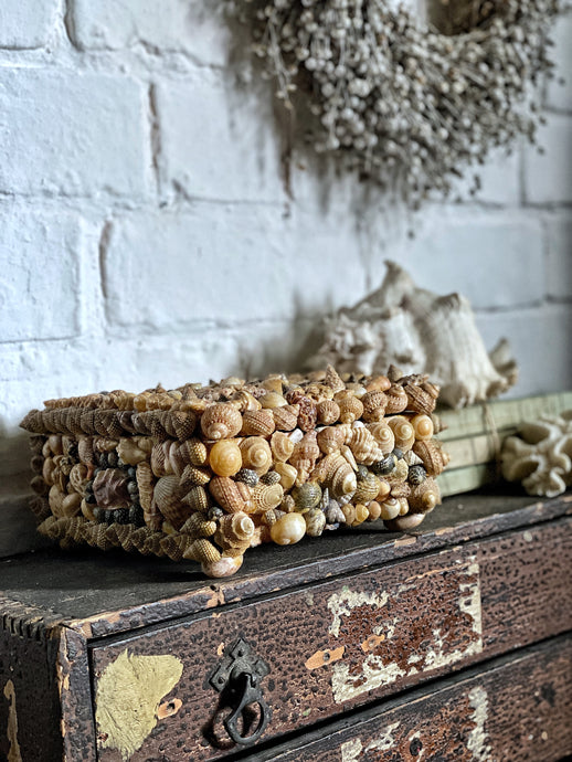 A French Vintage Shell covered jewellery box