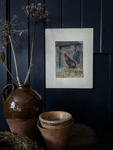 Load image into Gallery viewer, A still life painting of a farmyard cockerel in gouache