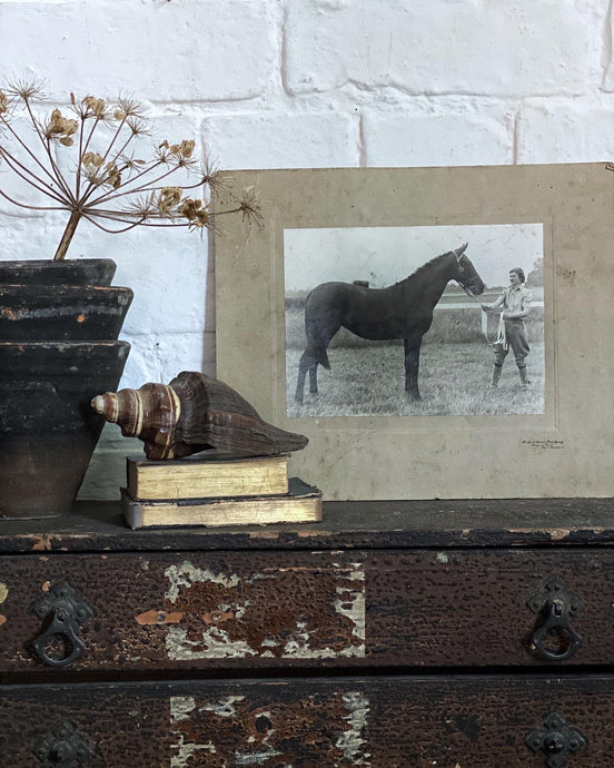 A Vintage Black & White Press image photograph of a horse and rider from the 1930's